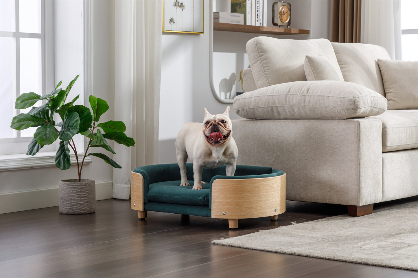 Scandinavian Style Elevated Dog Bed Pet Sofa: Solid Wood Legs, Bent Wood Back, Velvet Cushion - Mid Size, Dark Green