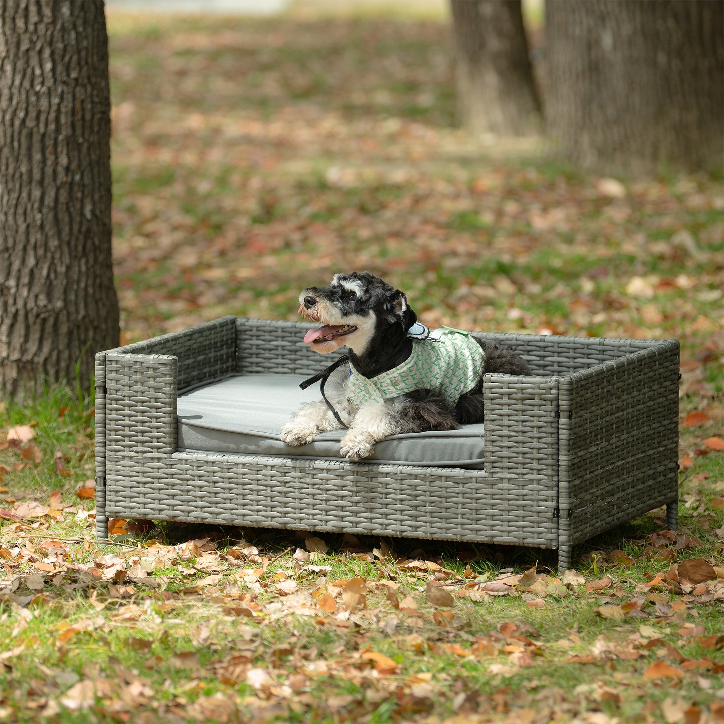 Dog Bed - Comfortable Pet Enclosure & Outdoor Furniture with Cushion - Seasonal PE Wicker, Various Sizes & Colors