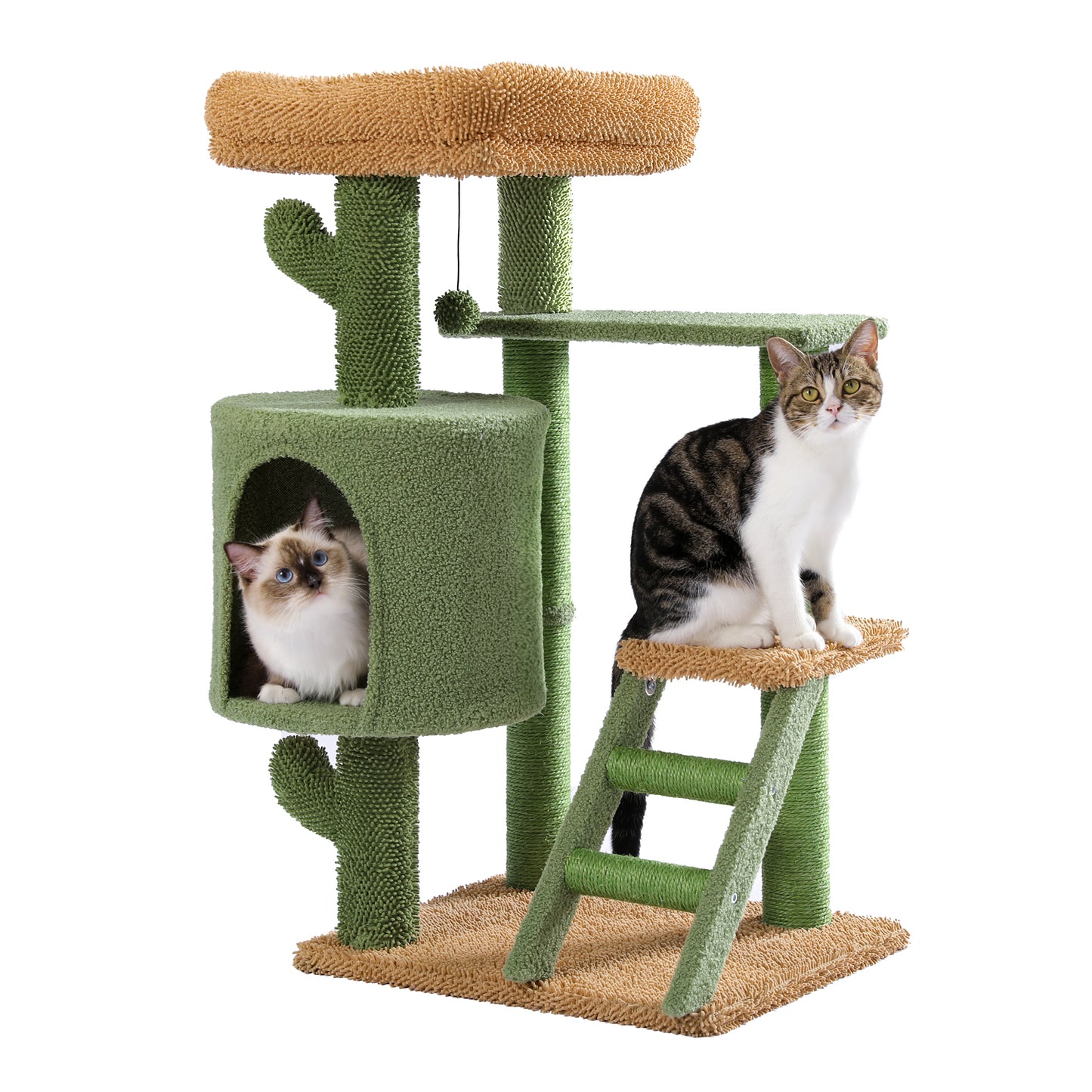 Desert Cactus Cat Tree: Multi-Level Condo with Ladder - Stylish, Sturdy, and Spacious - Available in Various Sizes and Colors