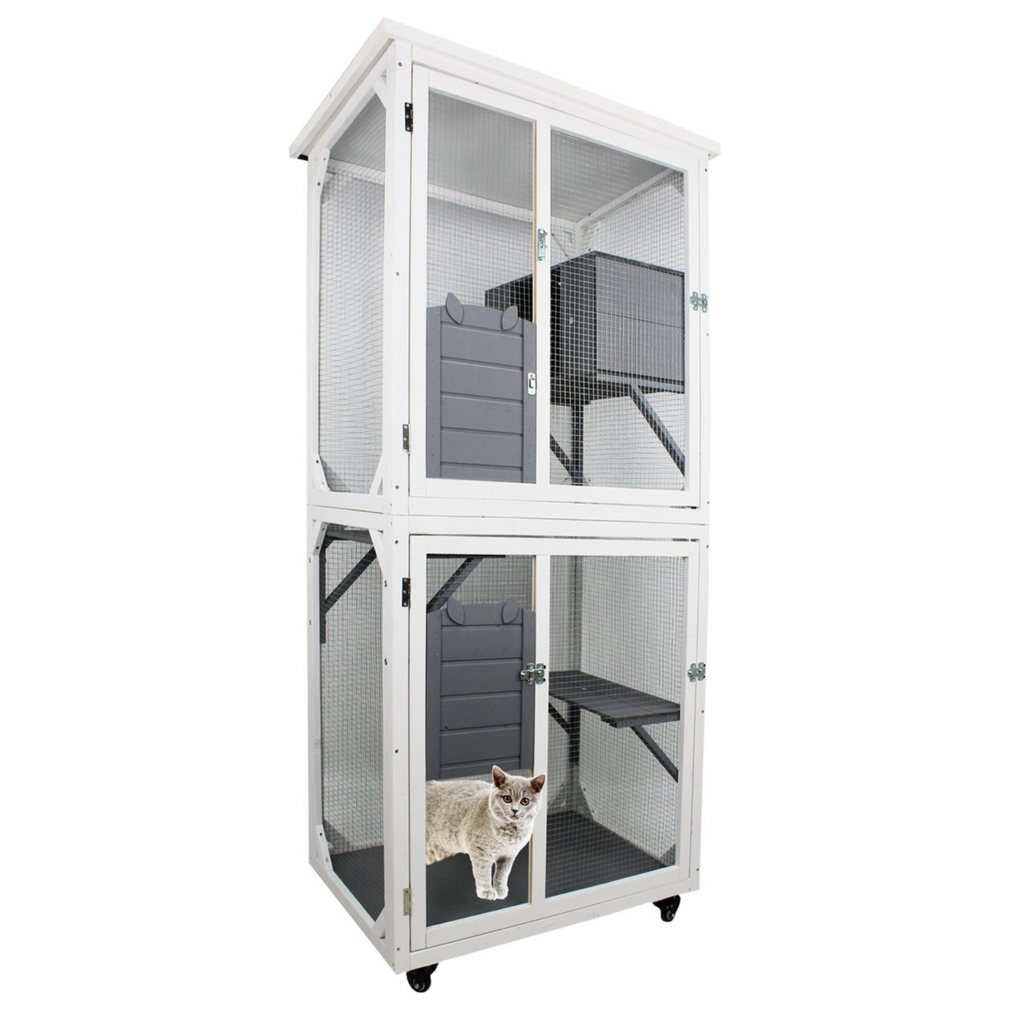 Outdoor Indoor Cat Pet Climbing Rack Play Cage: Lovely Big Space for Active Cats