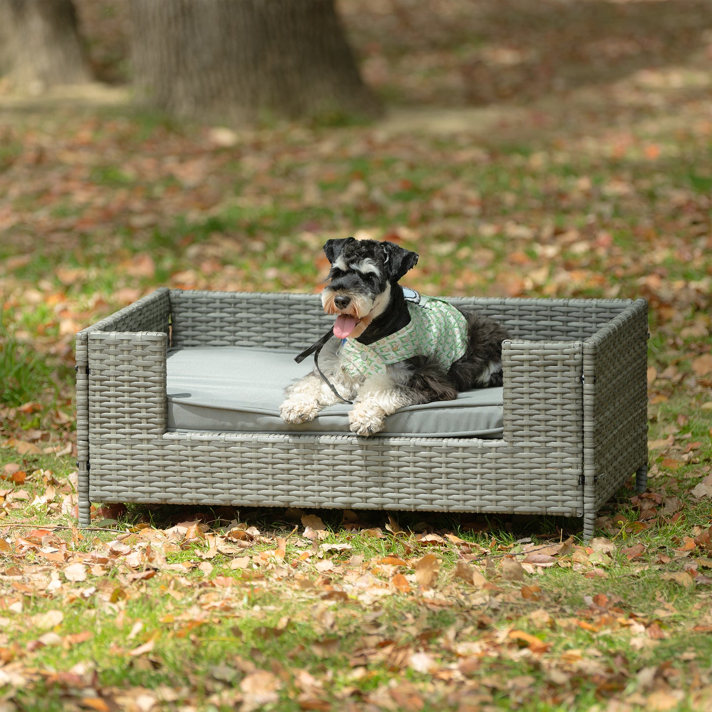 Dog Bed: Pet Enclosures & Outdoor Furniture, Seasonal PE Wicker, Cushioned for Comfort - Various Sizes & Colors