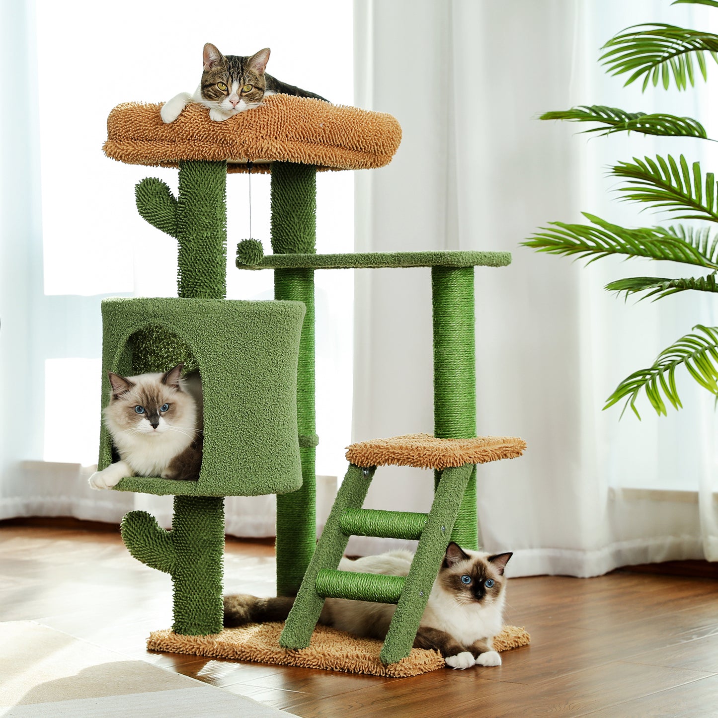 Desert Cactus Cat Tree: Multi-Level Condo with Ladder - Stylish, Sturdy, and Spacious - Available in Various Sizes and Colors