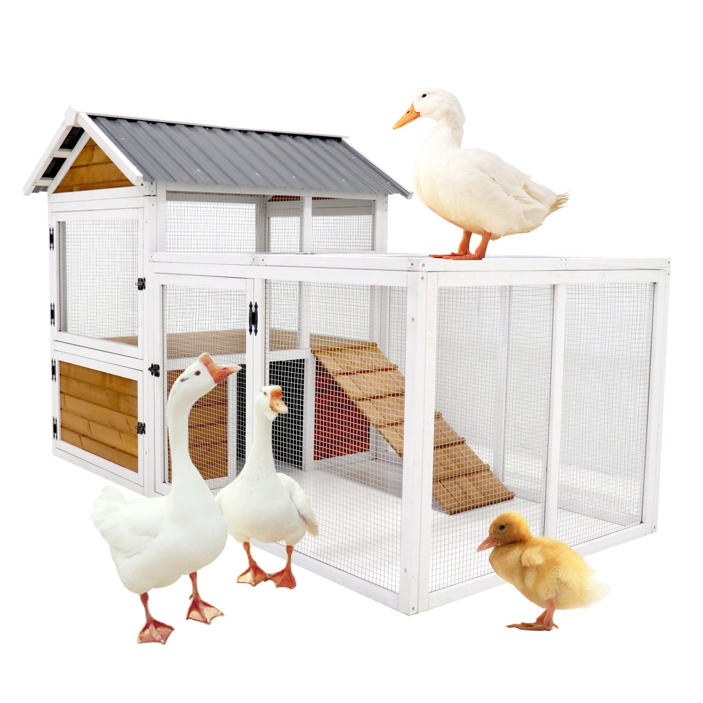 Large Outdoor Chicken Coop - Wooden Duck & Bird Cage with Nest Box - Waterproof PVC Board (Yellow Brown Gradient, 80")