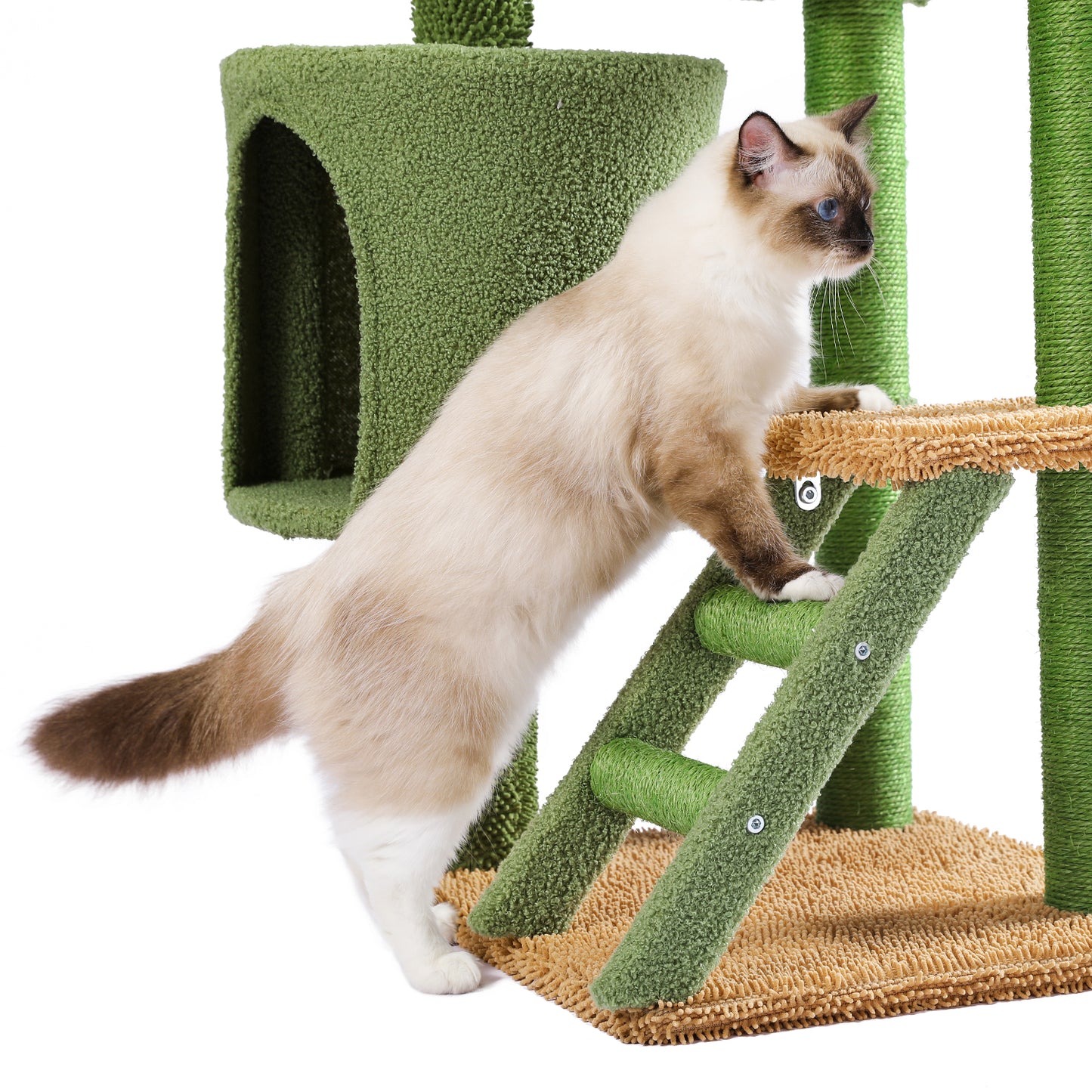 Desert Cactus Cat Tree: Multi-Level Condo with Ladder - Stylish, Sturdy, and Spacious - Available in Various Sizes and Colors