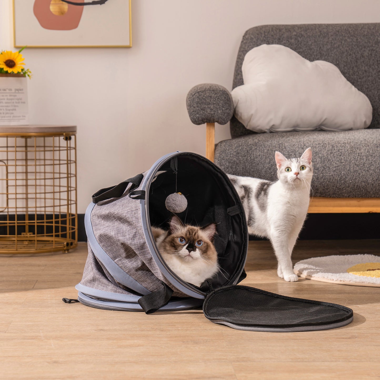 3 in 1 Cat Bed: Foldable Tunnel Pet Carrier Bag with Plush Balls - Ideal for Indoor Cats & Puppies - Travel-friendly, Toy Cat Bed - Multiple Colors & Sizes Available