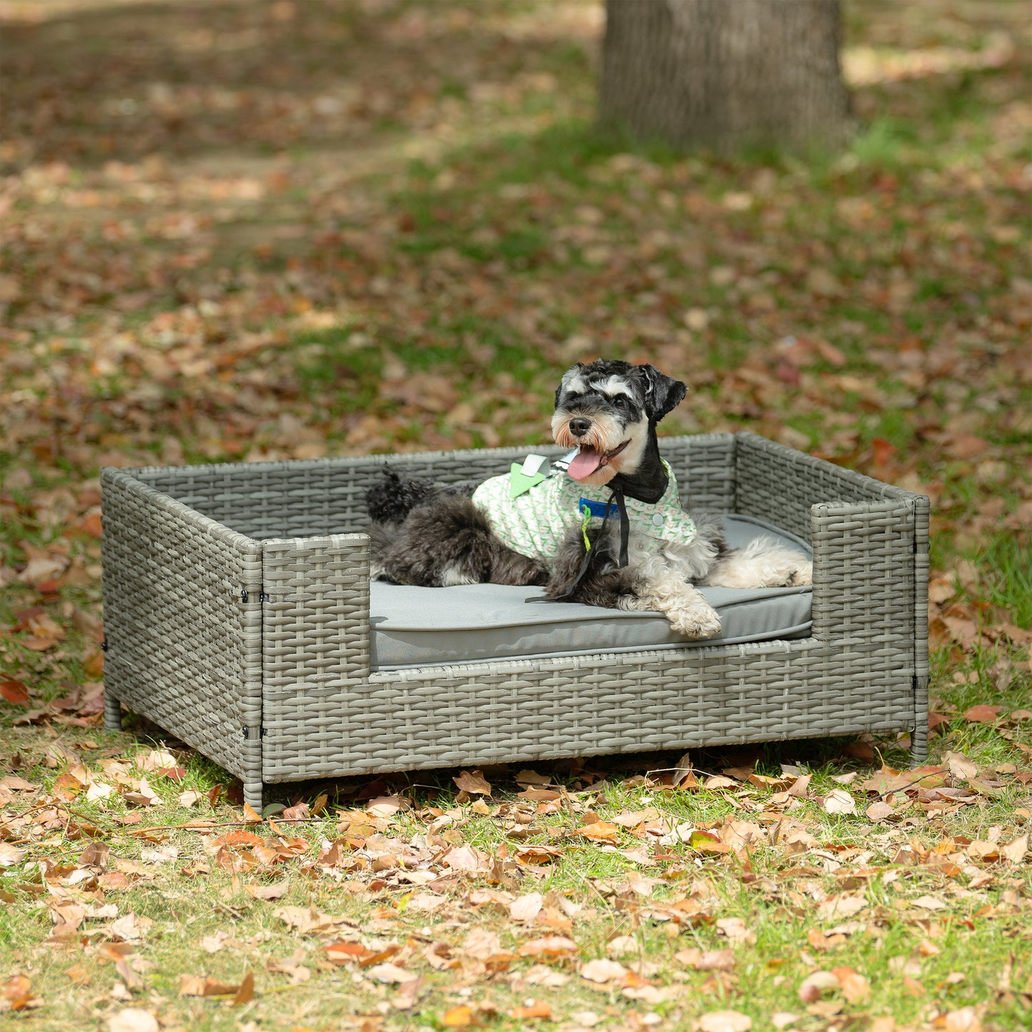 Dog Bed - Comfortable Pet Enclosure & Outdoor Furniture with Cushion - Seasonal PE Wicker, Various Sizes & Colors