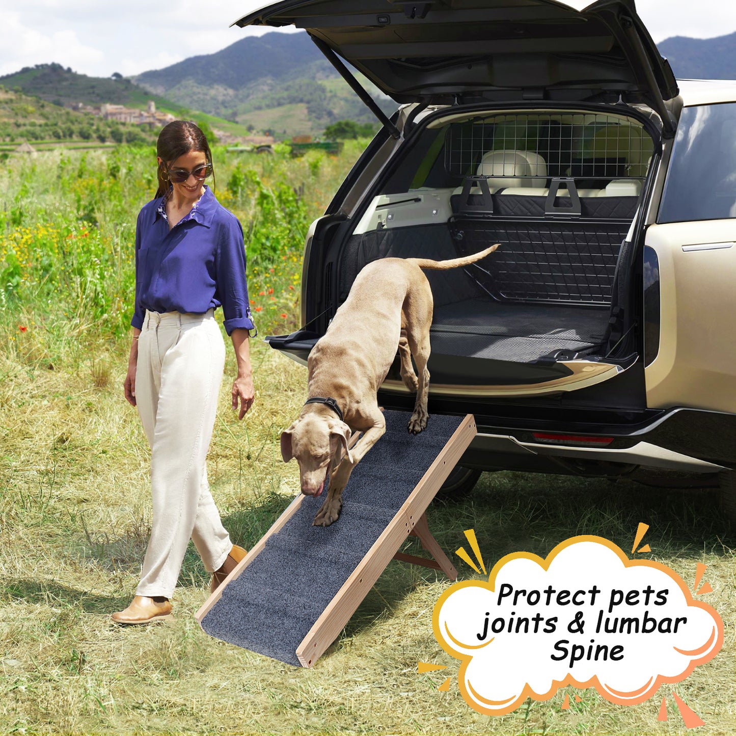 **Dog Ramp - Wooden Folding Portable Pet Ramp, Adjustable 10"-19", Non-Slip Traction Mat, Rated for 30 LBS (Light Grey)**