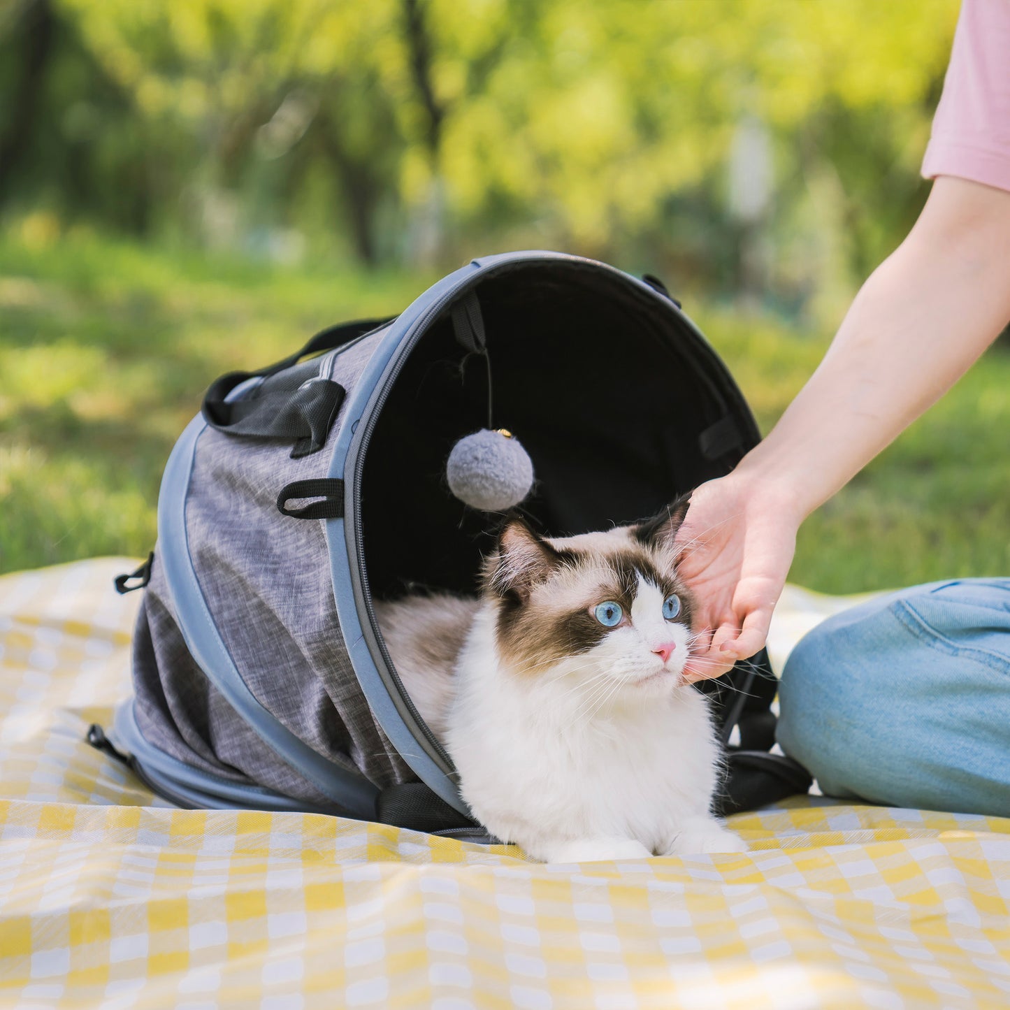 3 in 1 Cat Bed: Foldable Tunnel Pet Carrier Bag with Plush Balls - Ideal for Indoor Cats & Puppies - Travel-friendly, Toy Cat Bed - Multiple Colors & Sizes Available