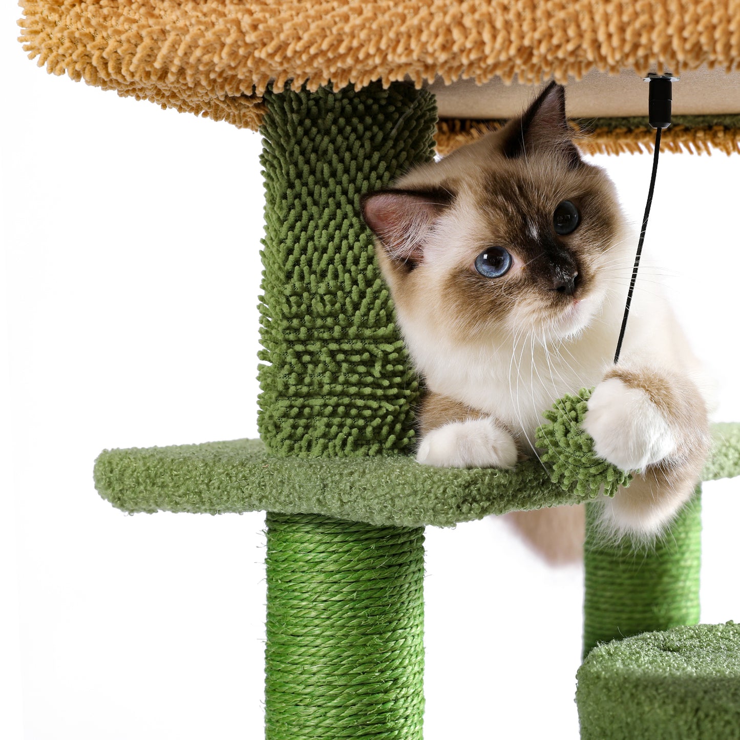 Desert Cactus Cat Tree: Multi-Level Condo with Ladder - Stylish, Sturdy, and Spacious - Available in Various Sizes and Colors