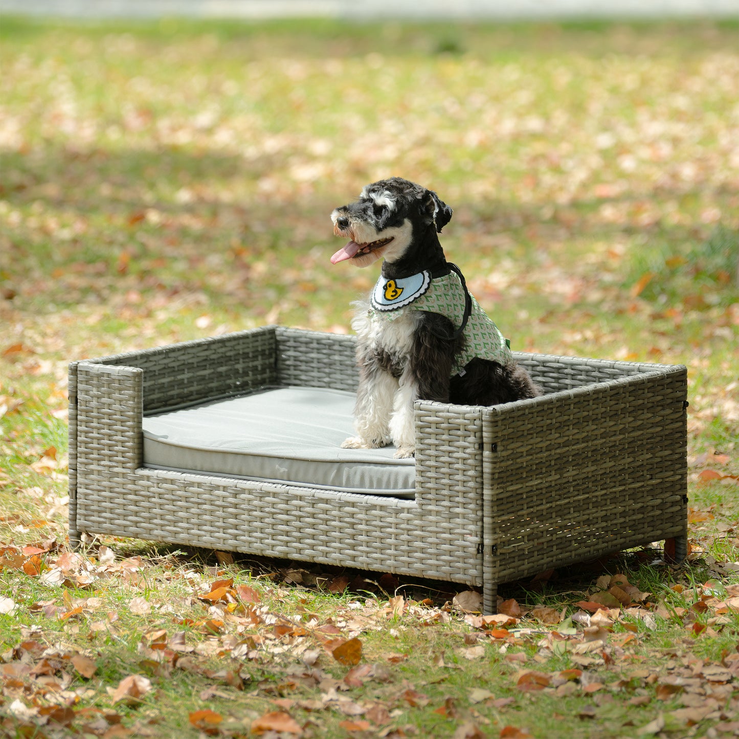 Dog Bed - Comfortable Pet Enclosure & Outdoor Furniture with Cushion - Seasonal PE Wicker, Various Sizes & Colors