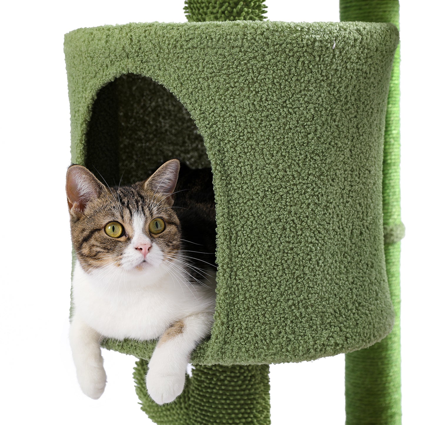 Desert Cactus Cat Tree: Multi-Level Condo with Ladder - Stylish, Sturdy, and Spacious - Available in Various Sizes and Colors