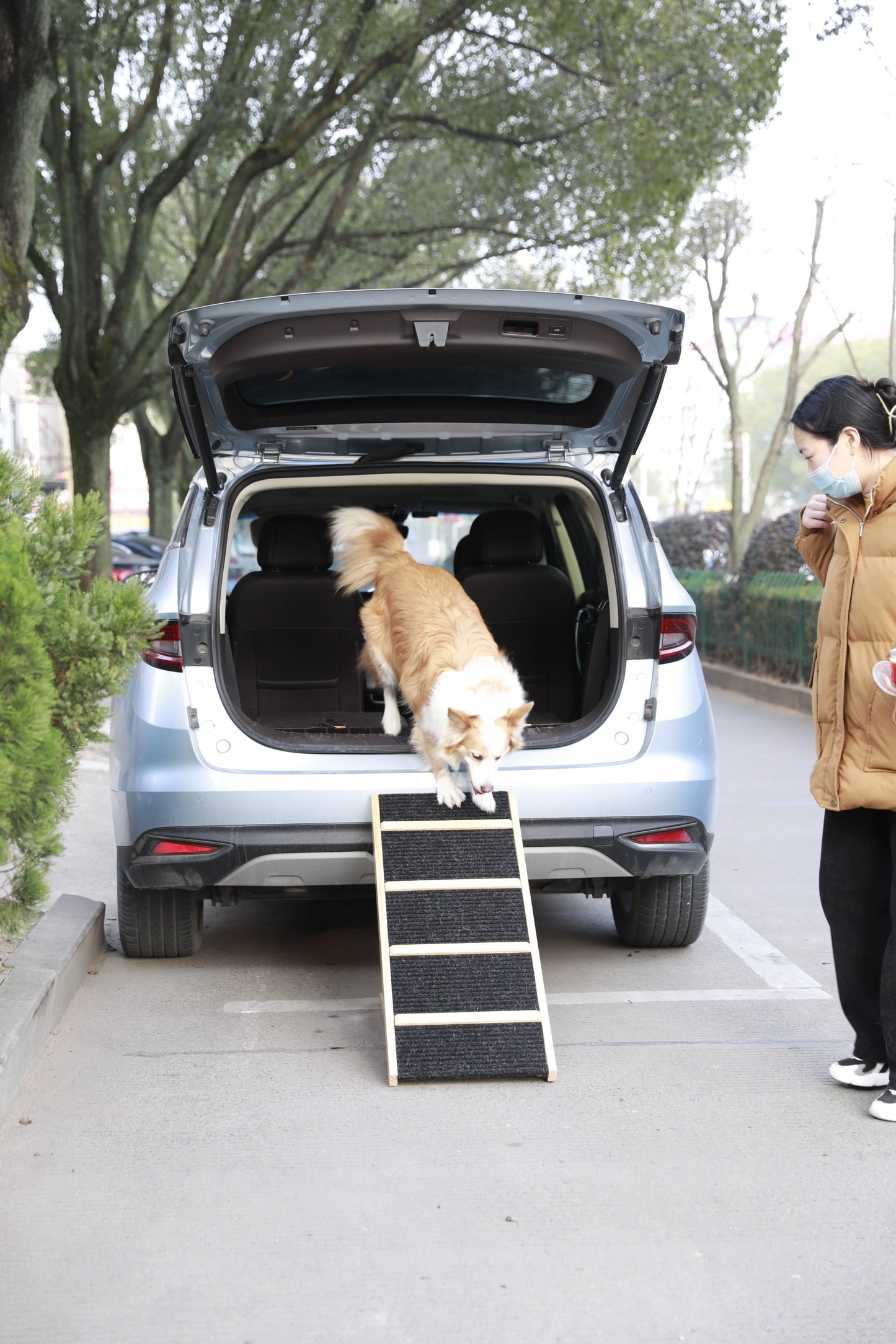 Tall Adjustable Pet Ramp | Folding Wooden Dog Cat Ramp | Non-Slip Paw Traction | Car SUV Bed Couch | Adjustable Height 9.3" to 24" | Portable | Size Options