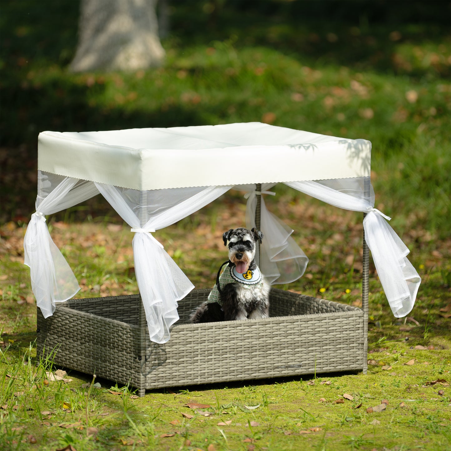 Dog Bed: Pet Enclosures, Outdoor Furniture, PE Wicker, Curtain - All Sizes & Colors