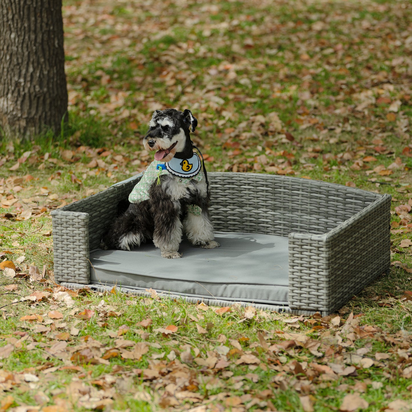 Dog Bed: Premium Outdoor PE Wicker Pet Furniture with Cushion for All Seasons