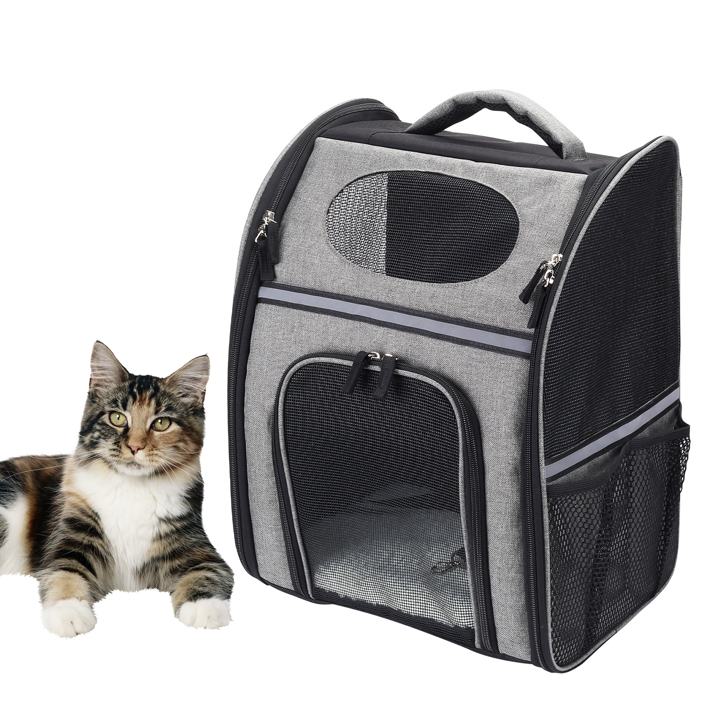 FluffyDream Pet Carrier Backpack: Safety Features, Cushion Back Support for Travel, Hiking | Large/Small Cats, Dogs | Puppies | Outdoor Use | Black