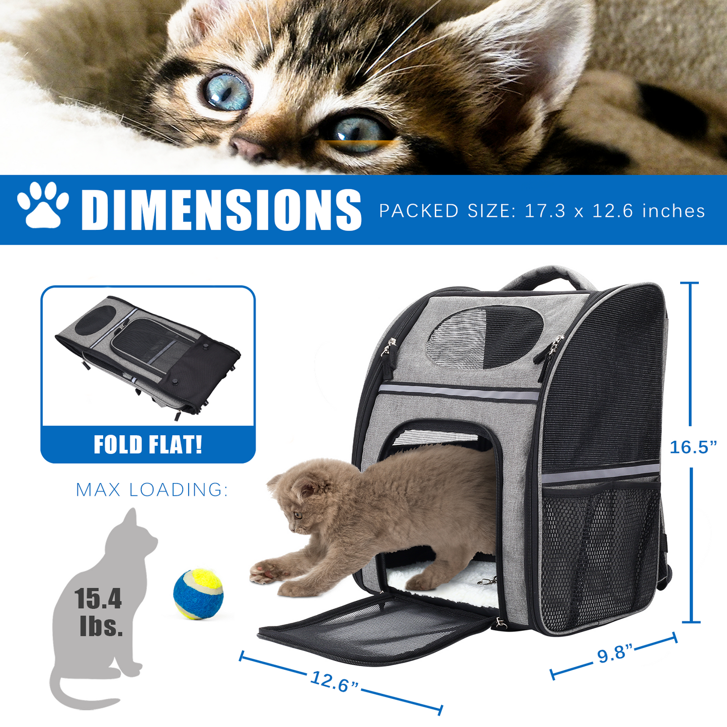 FluffyDream Pet Carrier Backpack: Safety Features, Cushion Back Support for Travel, Hiking | Large/Small Cats, Dogs | Puppies | Outdoor Use | Black