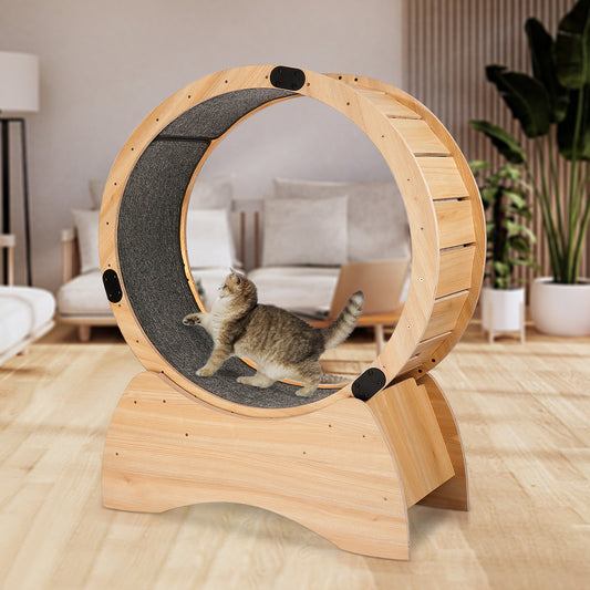 Cat Exercise Wheel – Running, Spinning, and Scratching Fun, Carpeted Runway, Kitty Cat Sport Toy for Physical Activity and Reducing Boredom, Various Sizes and Colors Available