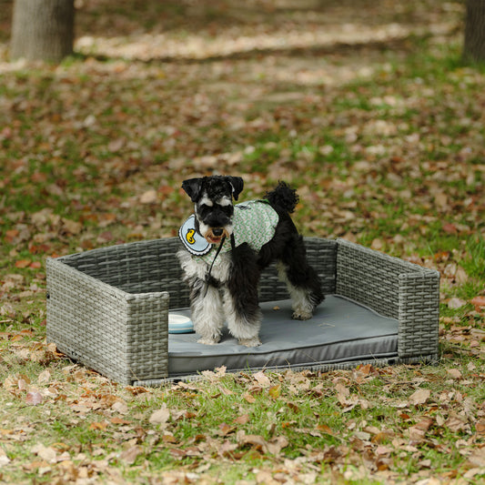 Dog Bed: Pet Enclosures, Outdoor Furniture & Seasonal PE Wicker - Comfy Cushion, Various Sizes, and Colors